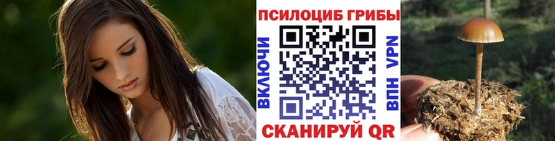 купить   Лысьва  Галлюциногенные грибы Magic Shrooms 